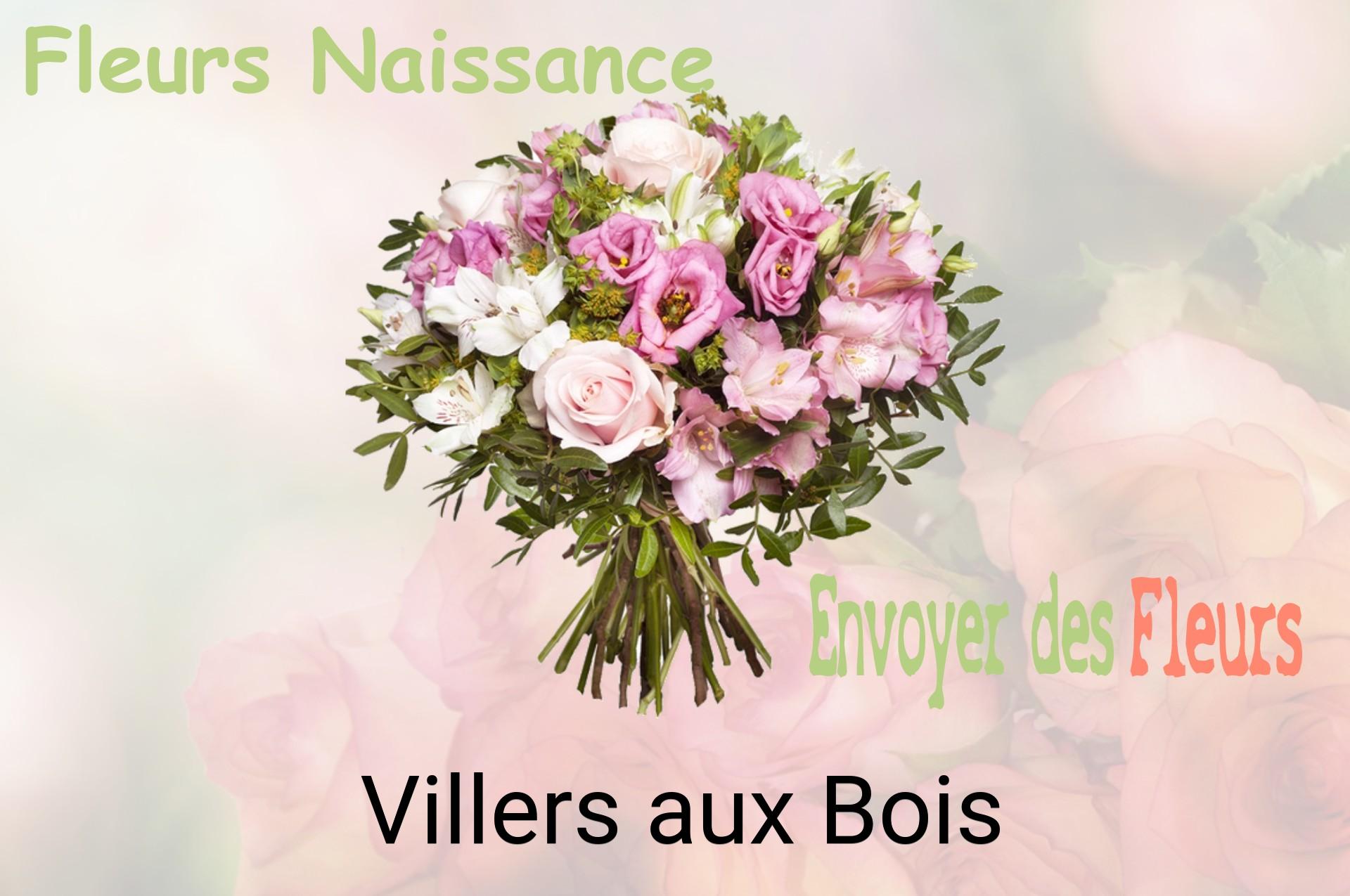 Bouquet de fleurs de naissance livré à Villers-aux-Bois