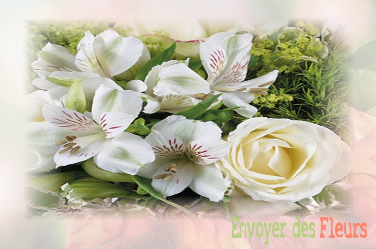 envoyer des fleurs à à VILLERS-AUX-BOIS