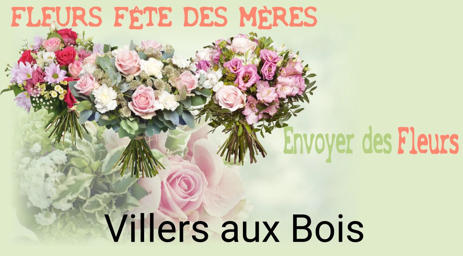 Bouquet de Fête des Mères livré à Villers-aux-Bois